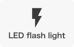 LED flash light