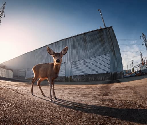 Factory and facility entrances